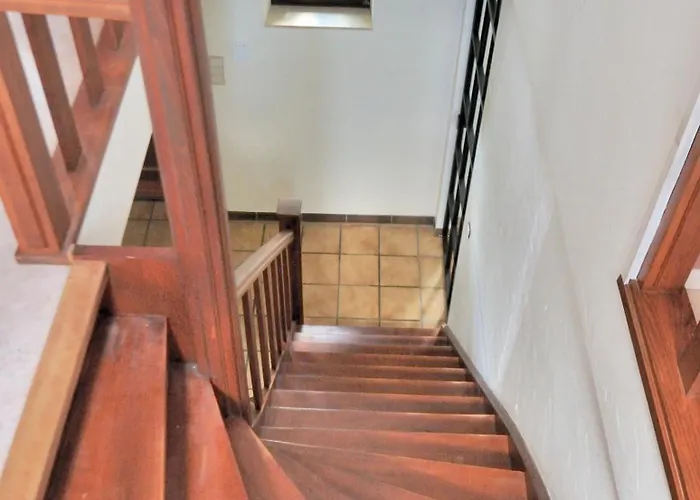 民宿 Familiale Avec 2 Dans - Quartier Et Boise - 5 Kms De 那慕尔